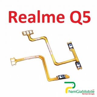 Dây Nút Nguồn Dây Âm Lượng Realme Q5